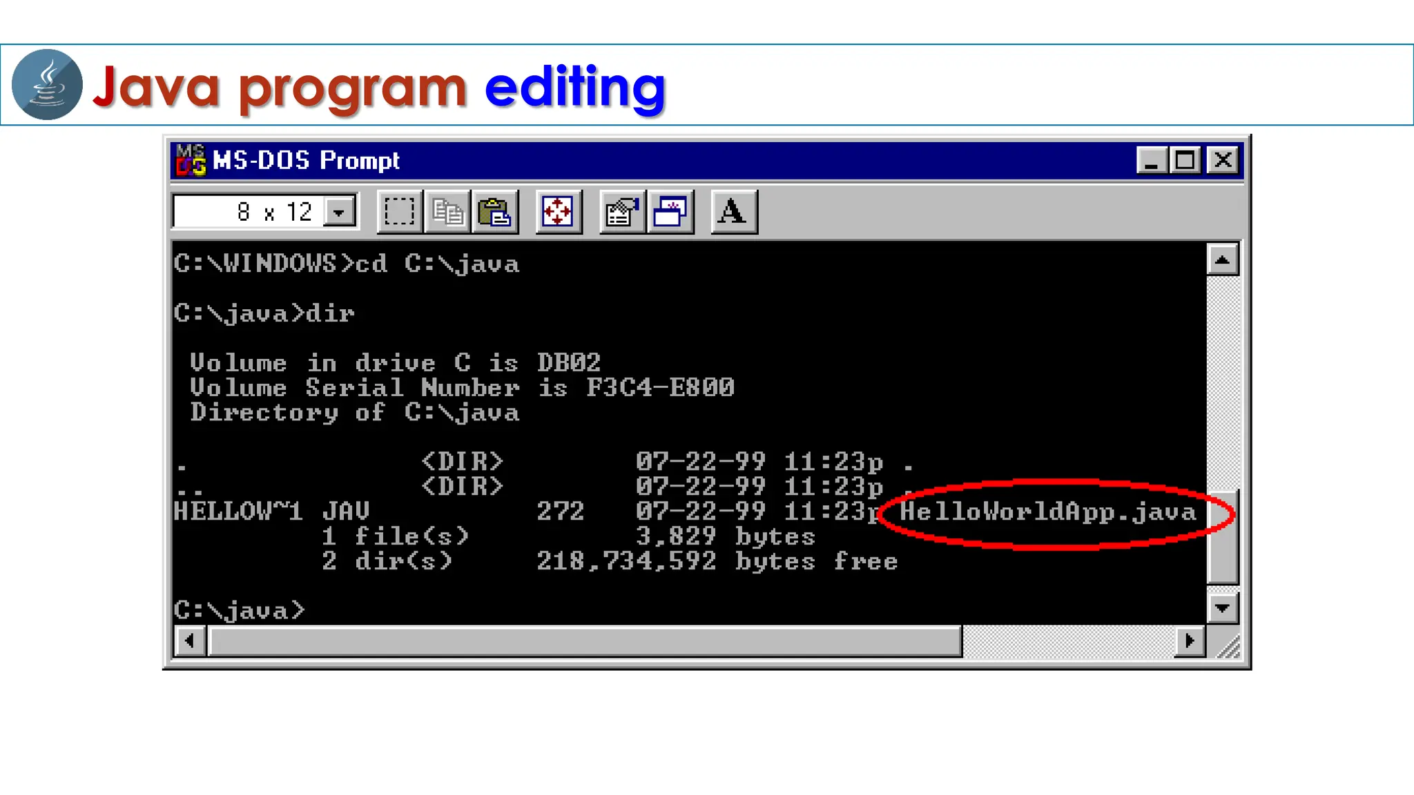 Java program editing
 