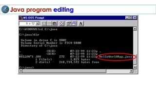 Java program editing
 
