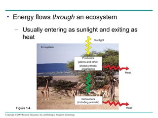 Chapter 1 Exploring Life Campbell Biology | PPT