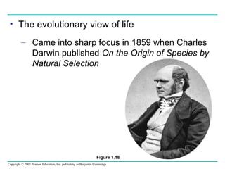 Chapter 1 Exploring Life Campbell Biology | PPT