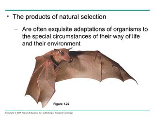 Chapter 1 Exploring Life Campbell Biology | PPT