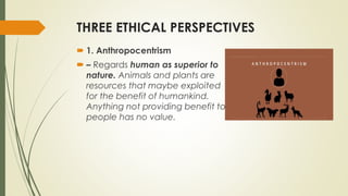 THREE ETHICAL PERSPECTIVES
 1. Anthropocentrism
 – Regards human as superior to
nature. Animals and plants are
resources that maybe exploited
for the benefit of humankind.
Anything not providing benefit to
people has no value.
 