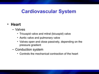 Comprehensive Overview of Human Body Systems: Structure and Function | PPT