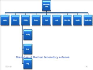 Comprehensive Overview of Medical Laboratory Services and Their Role in ...