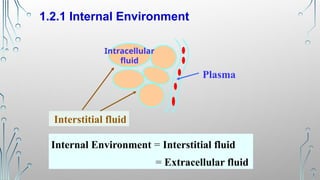 Interstitial Environment Comprehensive Introduction to Human Physiology: Homeostasis, Control ...
