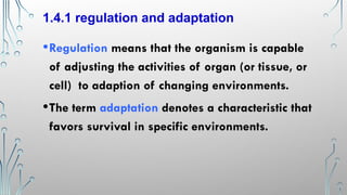 Comprehensive Introduction to Human Physiology: Homeostasis, Control ...
