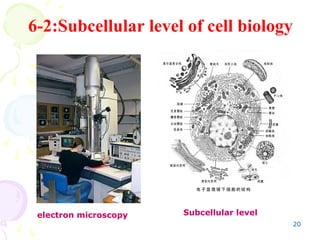 Subcell chapter1-2 introduction to cell biology.ppt