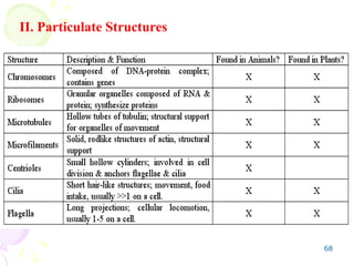 Particulate Structure chapter1-2 introduction to cell biology.ppt