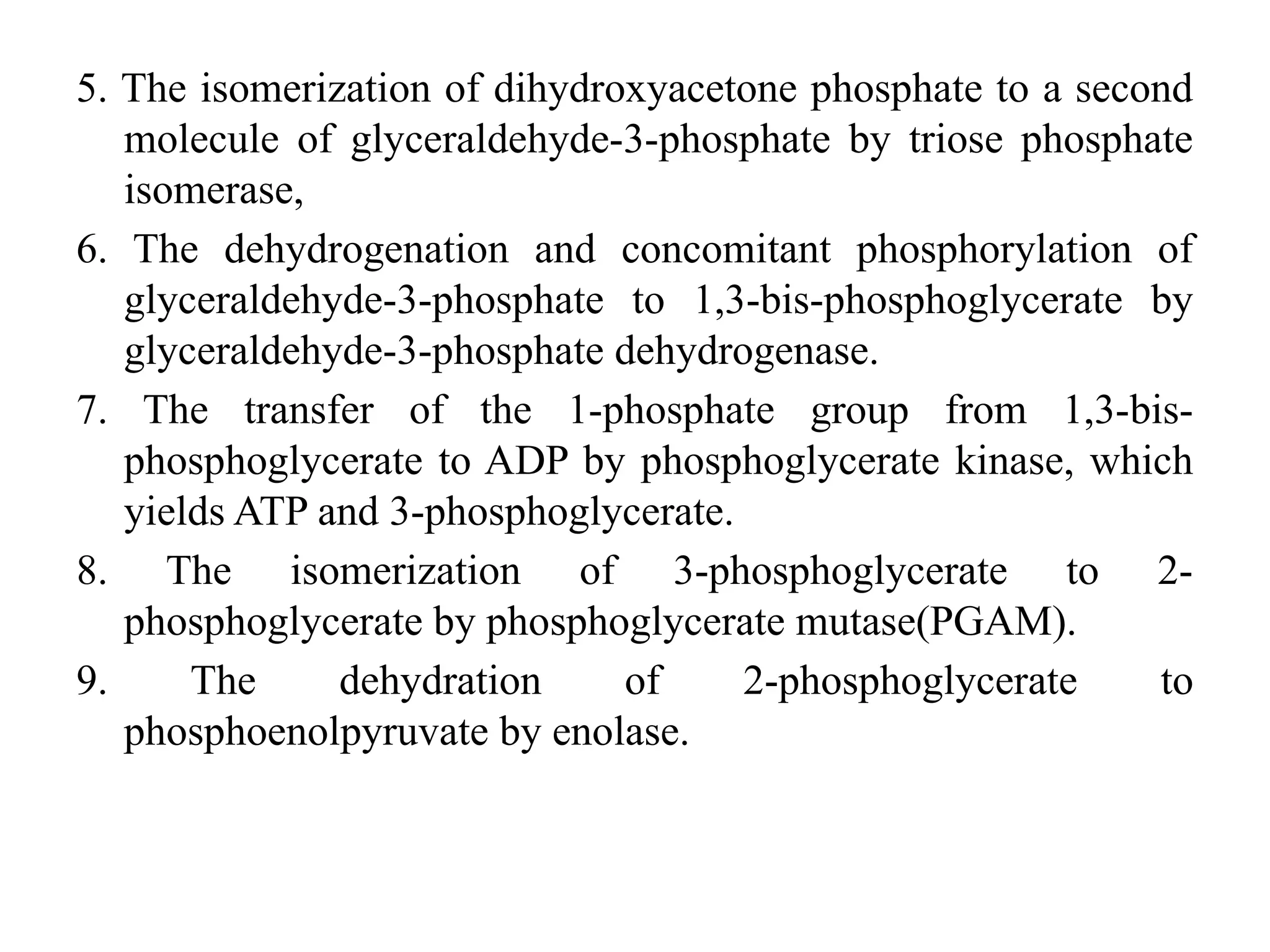 5. The isomerization of dihydroxyacetone phosphate to a second
molecule of glyceraldehyde-3-phosphate by triose phosphate
isomerase,
6. The dehydrogenation and concomitant phosphorylation of
glyceraldehyde-3-phosphate to 1,3-bis-phosphoglycerate by
glyceraldehyde-3-phosphate dehydrogenase.
7. The transfer of the 1-phosphate group from 1,3-bis-
phosphoglycerate to ADP by phosphoglycerate kinase, which
yields ATP and 3-phosphoglycerate.
8. The isomerization of 3-phosphoglycerate to 2-
phosphoglycerate by phosphoglycerate mutase(PGAM).
9. The dehydration of 2-phosphoglycerate to
phosphoenolpyruvate by enolase.
 