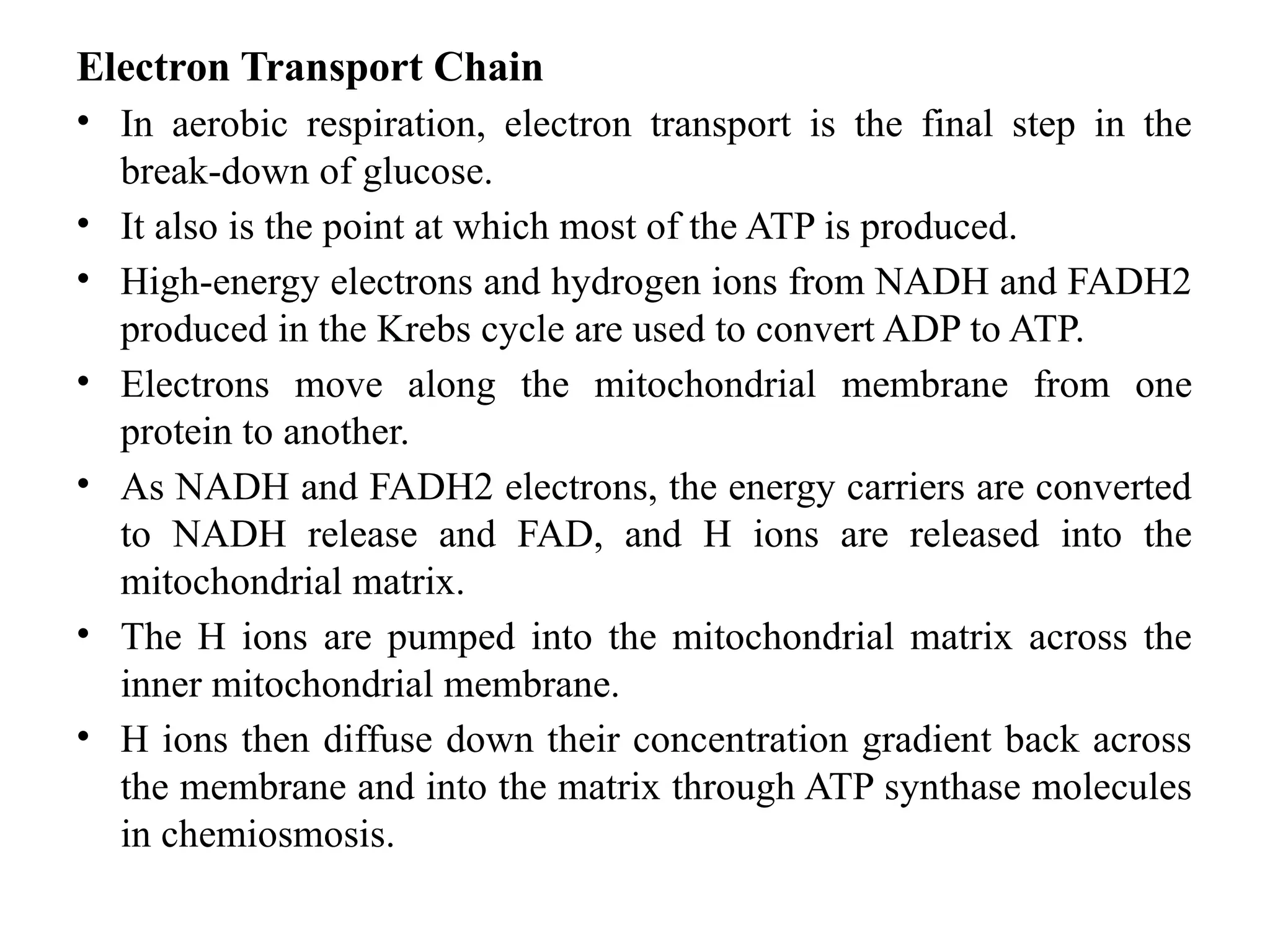 Electron Transport Chain
• In aerobic respiration, electron transport is the final step in the
break-down of glucose.
• It also is the point at which most of the ATP is produced.
• High-energy electrons and hydrogen ions from NADH and FADH2
produced in the Krebs cycle are used to convert ADP to ATP.
• Electrons move along the mitochondrial membrane from one
protein to another.
• As NADH and FADH2 electrons, the energy carriers are converted
to NADH release and FAD, and H ions are released into the
mitochondrial matrix.
• The H ions are pumped into the mitochondrial matrix across the
inner mitochondrial membrane.
• H ions then diffuse down their concentration gradient back across
the membrane and into the matrix through ATP synthase molecules
in chemiosmosis.
 