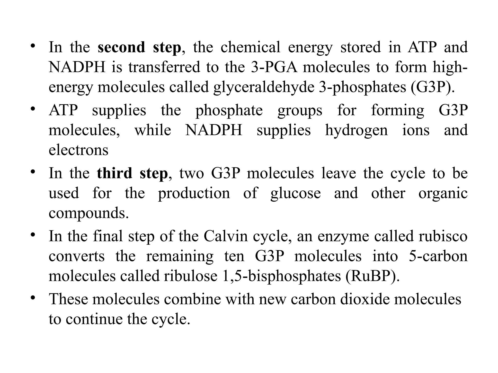 • In the second step, the chemical energy stored in ATP and
NADPH is transferred to the 3-PGA molecules to form high-
energy molecules called glyceraldehyde 3-phosphates (G3P).
• ATP supplies the phosphate groups for forming G3P
molecules, while NADPH supplies hydrogen ions and
electrons
• In the third step, two G3P molecules leave the cycle to be
used for the production of glucose and other organic
compounds.
• In the final step of the Calvin cycle, an enzyme called rubisco
converts the remaining ten G3P molecules into 5-carbon
molecules called ribulose 1,5-bisphosphates (RuBP).
• These molecules combine with new carbon dioxide molecules
to continue the cycle.
 