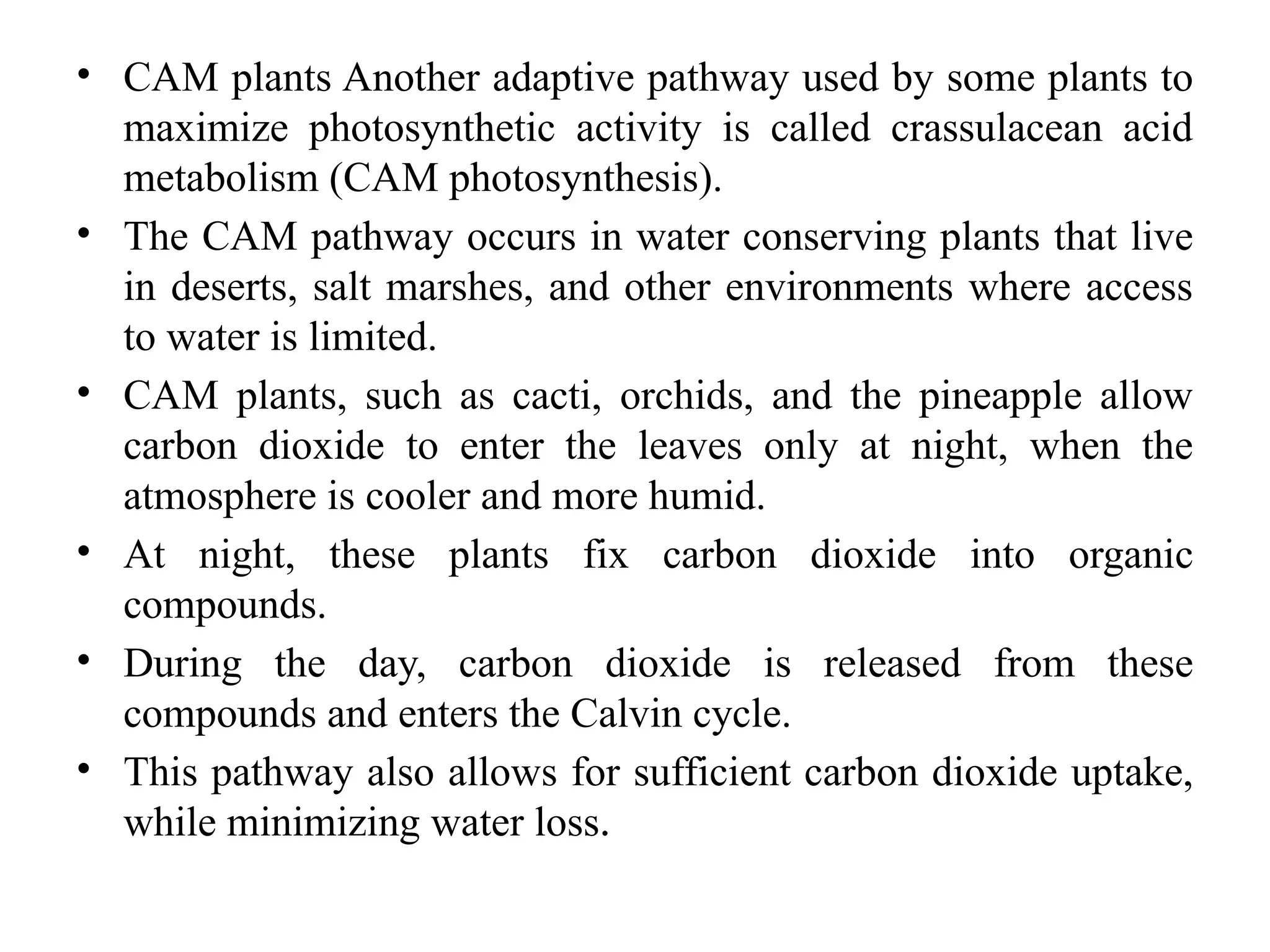 • CAM plants Another adaptive pathway used by some plants to
maximize photosynthetic activity is called crassulacean acid
metabolism (CAM photosynthesis).
• The CAM pathway occurs in water conserving plants that live
in deserts, salt marshes, and other environments where access
to water is limited.
• CAM plants, such as cacti, orchids, and the pineapple allow
carbon dioxide to enter the leaves only at night, when the
atmosphere is cooler and more humid.
• At night, these plants fix carbon dioxide into organic
compounds.
• During the day, carbon dioxide is released from these
compounds and enters the Calvin cycle.
• This pathway also allows for sufficient carbon dioxide uptake,
while minimizing water loss.
 