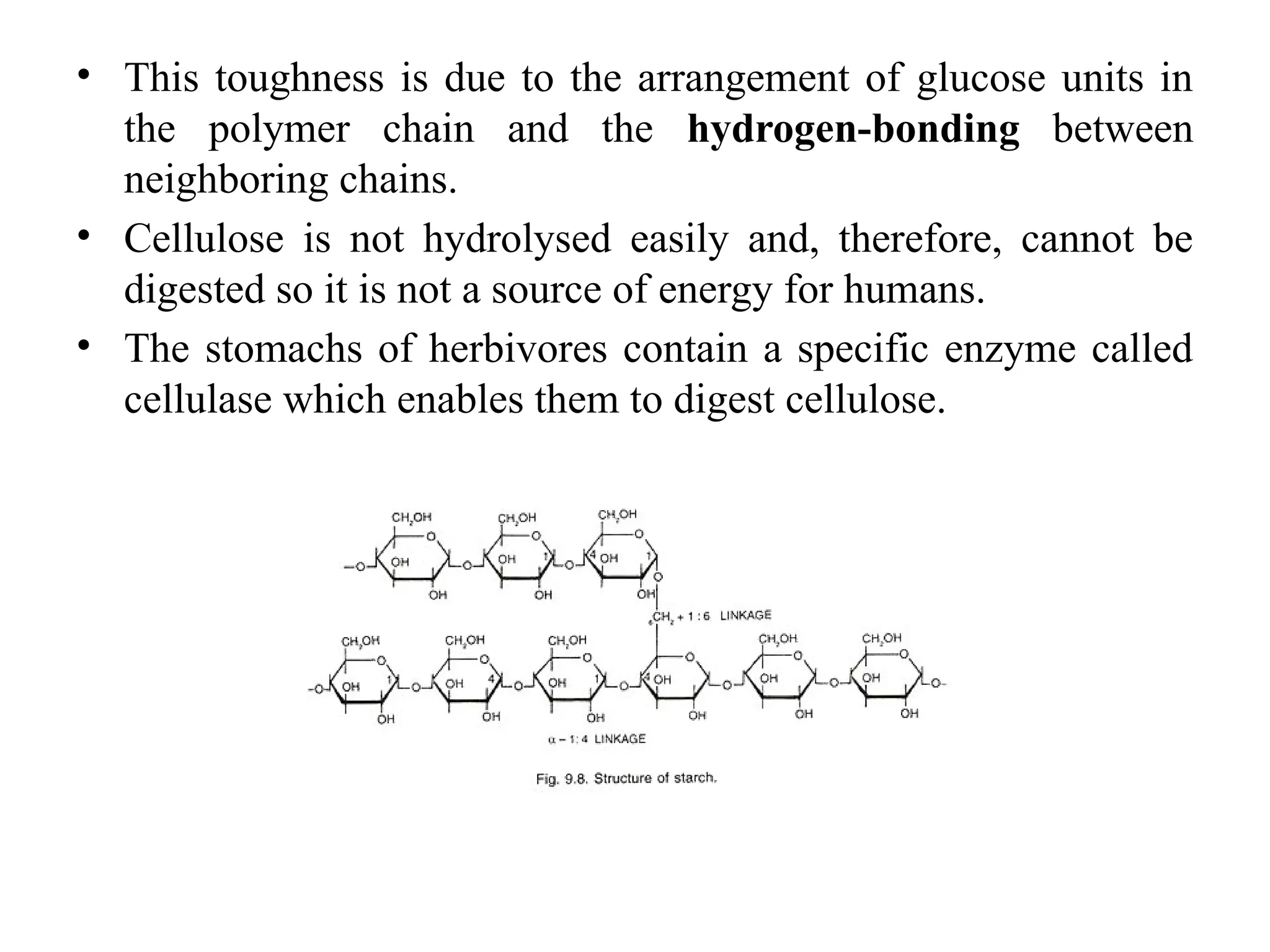• This toughness is due to the arrangement of glucose units in
the polymer chain and the hydrogen-bonding between
neighboring chains.
• Cellulose is not hydrolysed easily and, therefore, cannot be
digested so it is not a source of energy for humans.
• The stomachs of herbivores contain a specific enzyme called
cellulase which enables them to digest cellulose.
 