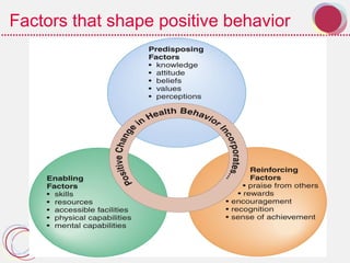 Factors that shape positive behavior
 