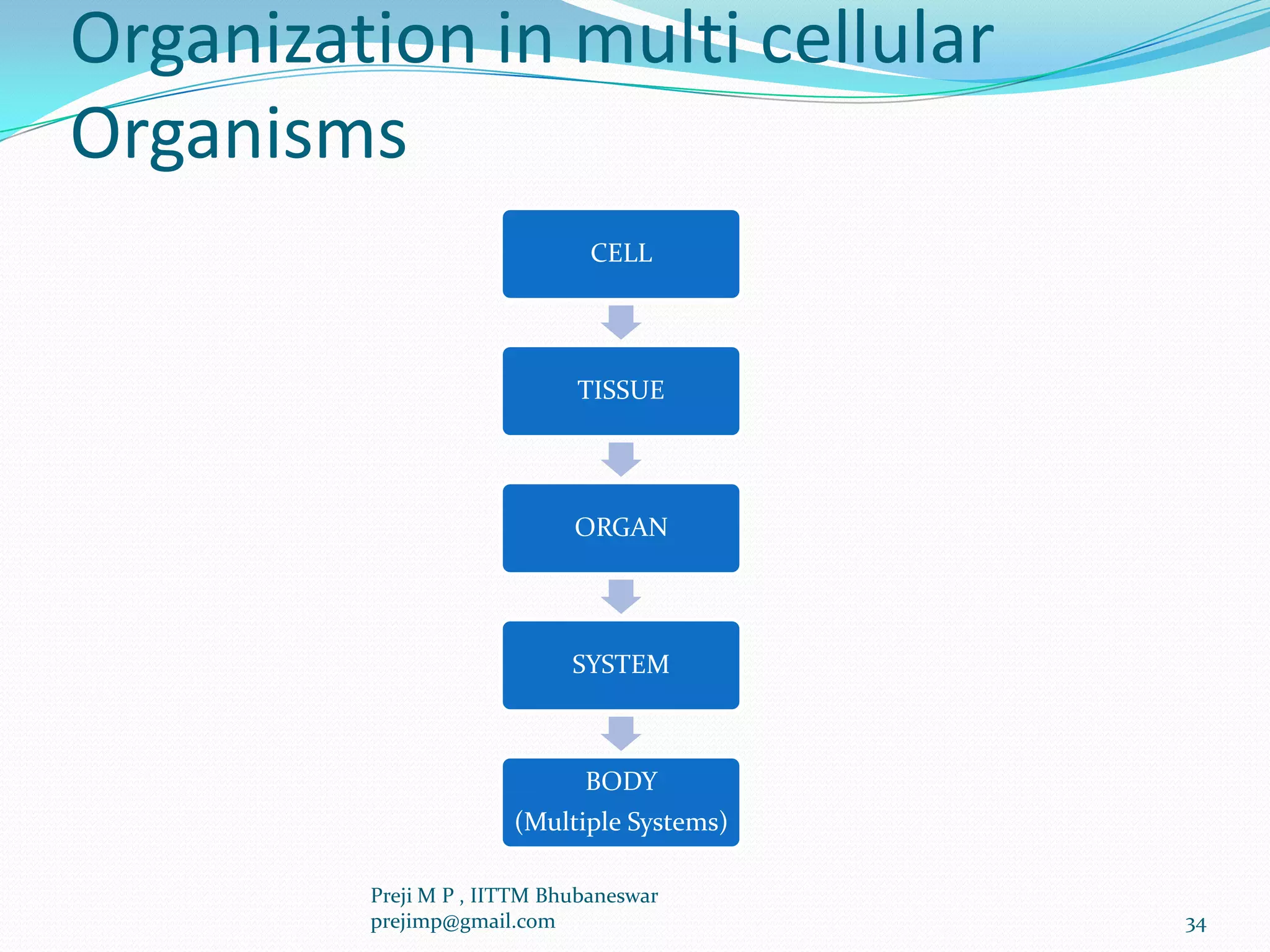 Organization in multi cellular
Organisms
CELL
TISSUE
ORGAN
SYSTEM
BODY
(Multiple Systems)
34
Preji M P , IITTM Bhubaneswar
prejimp@gmail.com
 