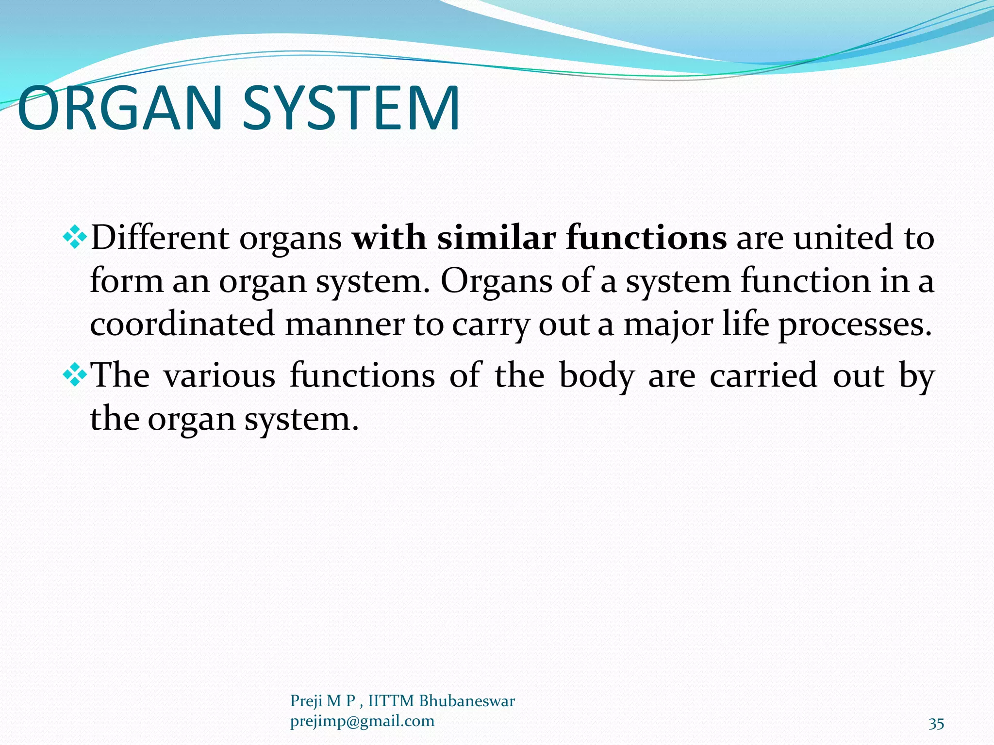 ORGAN SYSTEM
Different organs with similar functions are united to
form an organ system. Organs of a system function in a
coordinated manner to carry out a major life processes.
The various functions of the body are carried out by
the organ system.
35
Preji M P , IITTM Bhubaneswar
prejimp@gmail.com
 