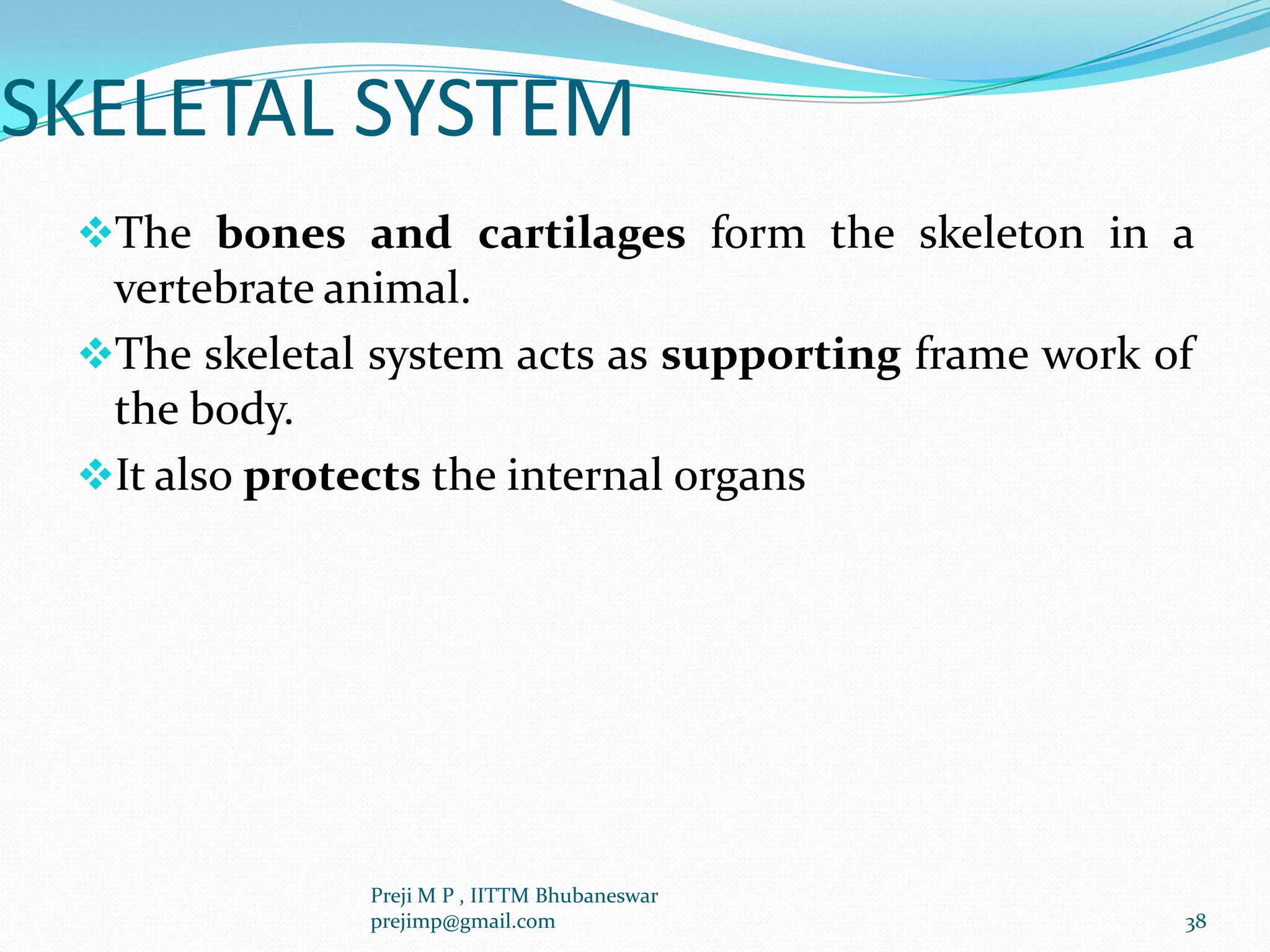 SKELETAL SYSTEM
The bones and cartilages form the skeleton in a
vertebrate animal.
The skeletal system acts as supporting frame work of
the body.
It also protects the internal organs
38
Preji M P , IITTM Bhubaneswar
prejimp@gmail.com
 