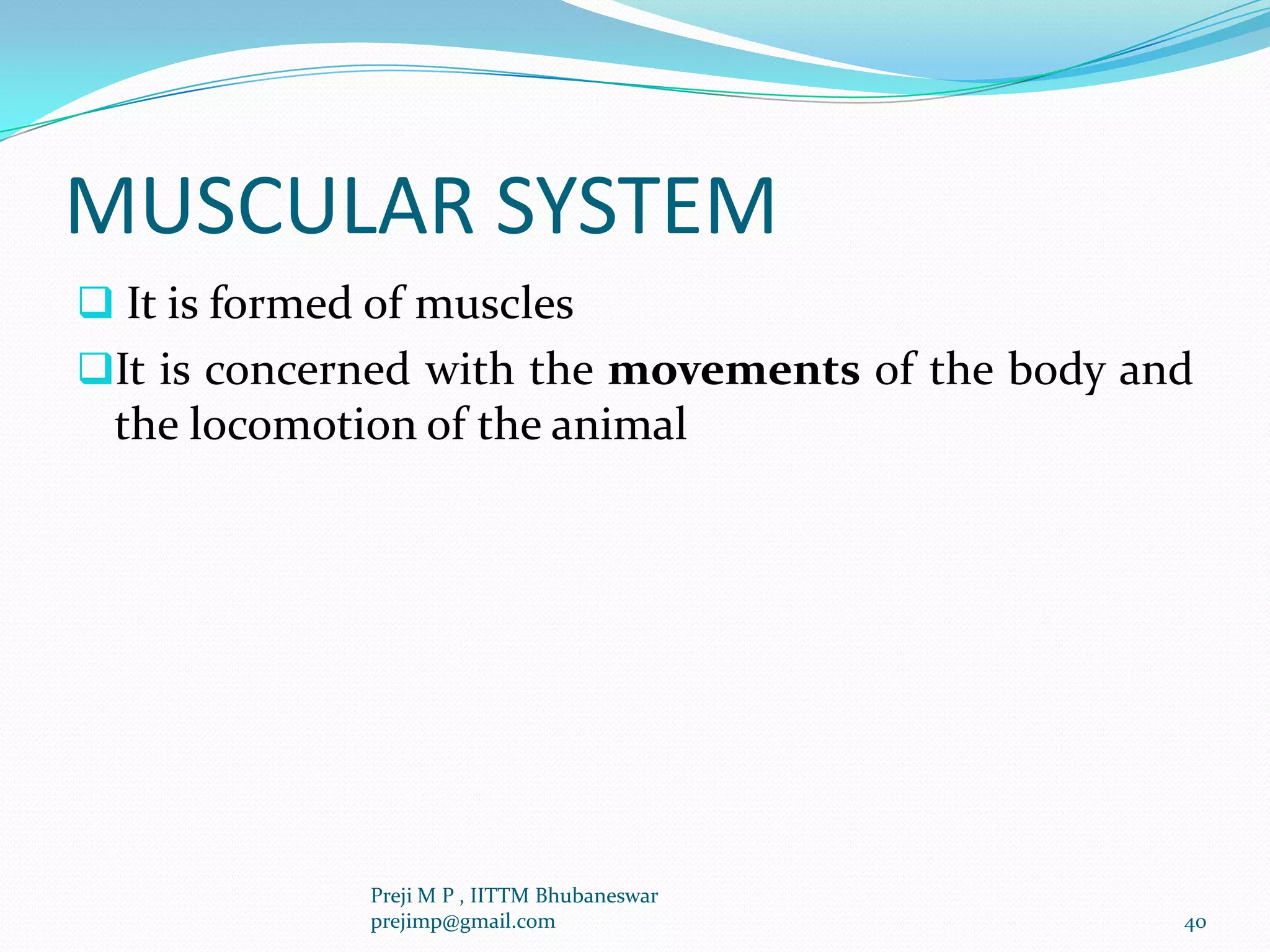 MUSCULAR SYSTEM
 It is formed of muscles
It is concerned with the movements of the body and
the locomotion of the animal
40
Preji M P , IITTM Bhubaneswar
prejimp@gmail.com
 