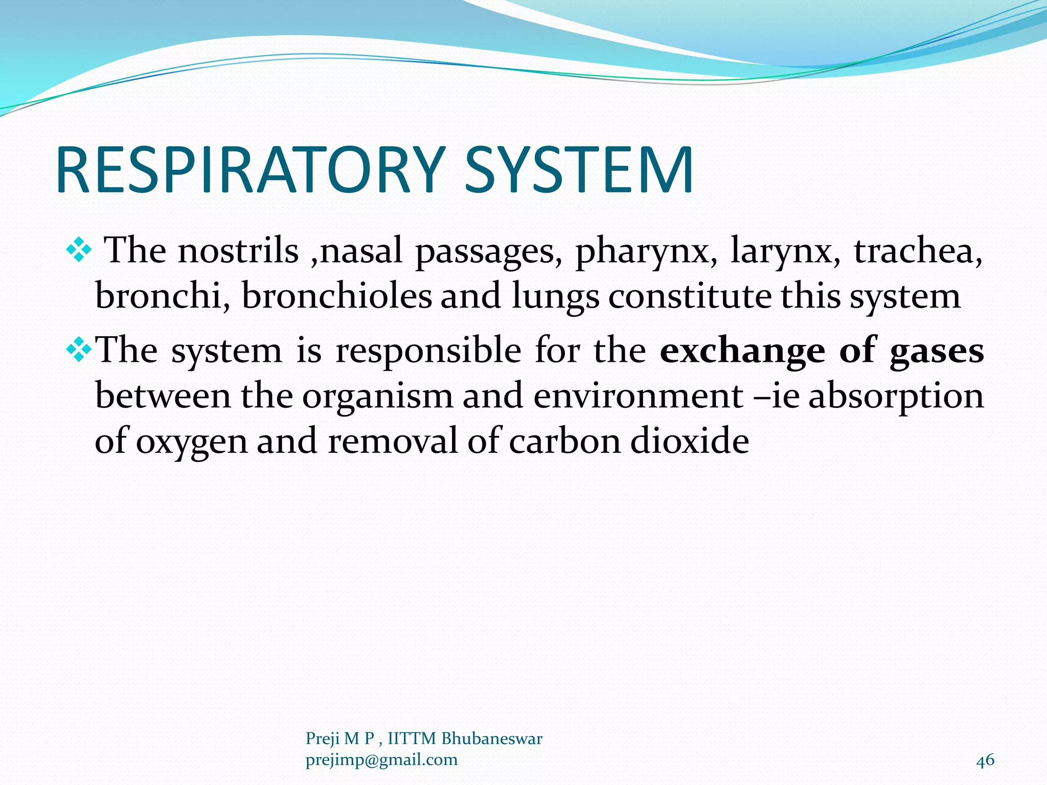 RESPIRATORY SYSTEM
 The nostrils ,nasal passages, pharynx, larynx, trachea,
bronchi, bronchioles and lungs constitute this system
The system is responsible for the exchange of gases
between the organism and environment –ie absorption
of oxygen and removal of carbon dioxide
46
Preji M P , IITTM Bhubaneswar
prejimp@gmail.com
 