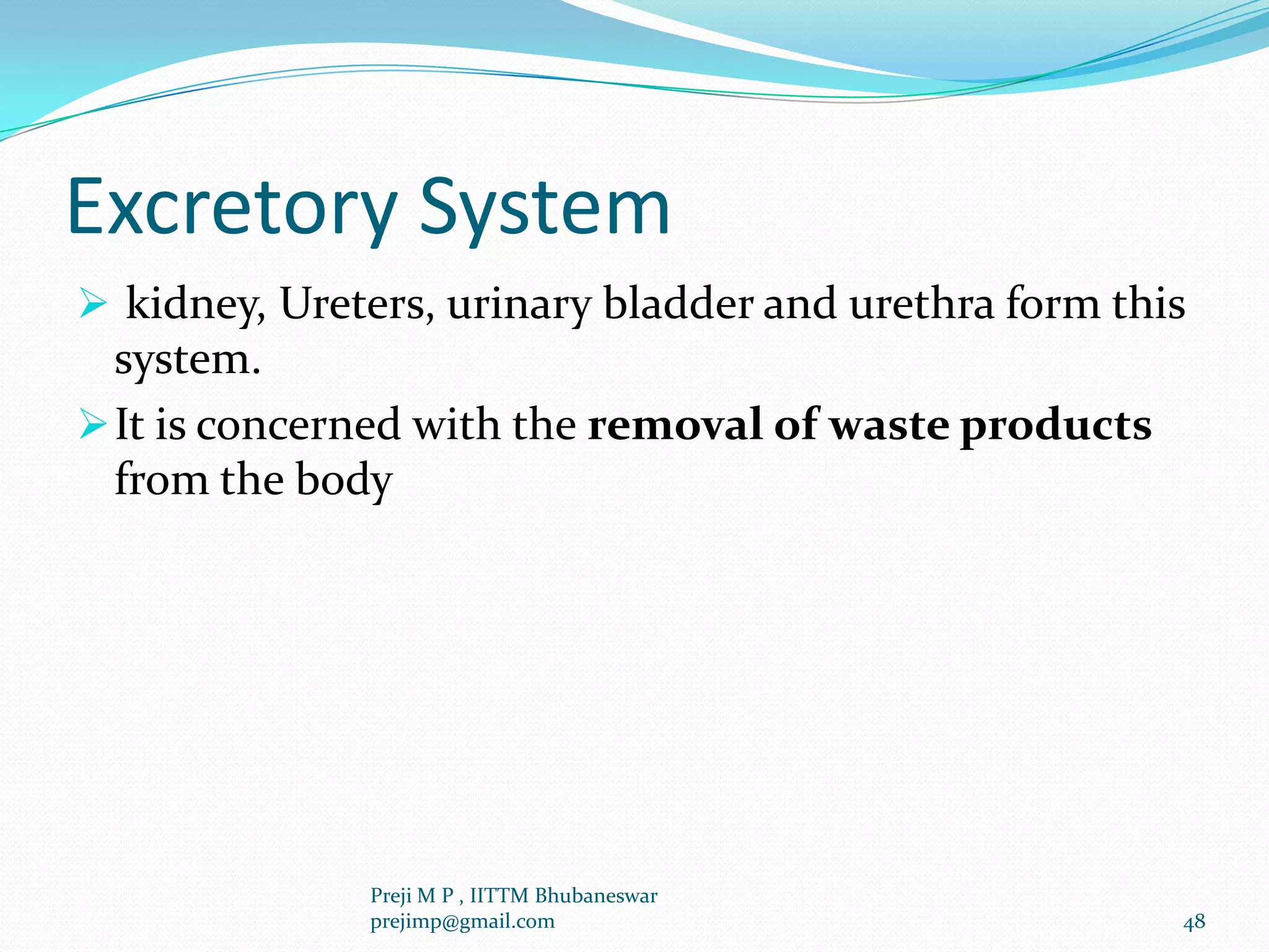 Excretory System
 kidney, Ureters, urinary bladder and urethra form this
system.
It is concerned with the removal of waste products
from the body
48
Preji M P , IITTM Bhubaneswar
prejimp@gmail.com
 