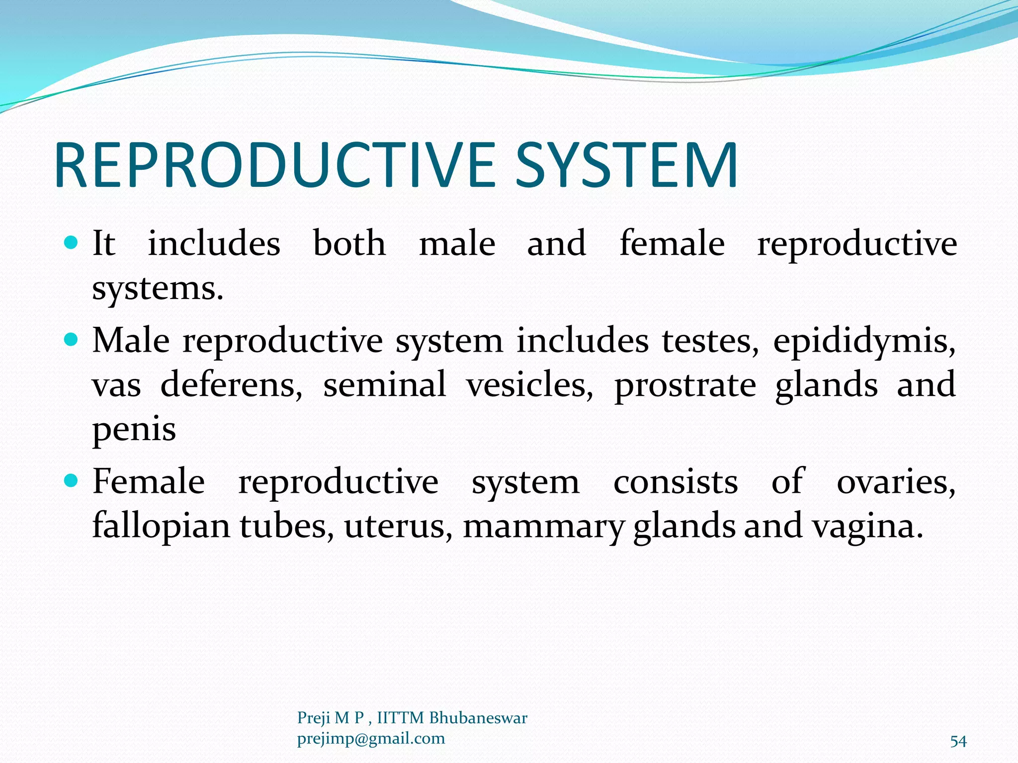 REPRODUCTIVE SYSTEM
 It includes both male and female reproductive
systems.
 Male reproductive system includes testes, epididymis,
vas deferens, seminal vesicles, prostrate glands and
penis
 Female reproductive system consists of ovaries,
fallopian tubes, uterus, mammary glands and vagina.
54
Preji M P , IITTM Bhubaneswar
prejimp@gmail.com
 