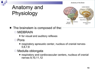 Anatomy and Physiology The brainstem is composed of the: MIDBRAIN for visual and auditory reflexes Pons respiratory apneustic center, nucleus of cranial nerves- 5,6,7,8 Medulla oblongata respiratory and cardiovascular centers, nucleus of cranial nerves 9,10,11,12 