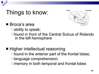 Things to know: Broca’s area  ability to speak;  found in front of the Central Sulcus of Rolando  in the left hemisphere Higher intellectual reasoning  found in the anterior part of the frontal lobes;  language comprehension;  memory in both temporal and frontal lobes 