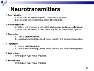     Neurotransmitters   1.  Acetylcholine   a. associated with nerve impulse conduction at synapse. b. belongs to a chemical group called  cholinergics . 2.  Norepinepherine                   a.  belong to a chemical group called  adrenergics and catecholamines. b. associated with sleep, mood, motor function and pleasure recognition 3.  Dopamine   a.   also a  catecholamine . b.   associated with sleep, mood, motor function and pleasure recognition 4.   Serotonin   a.   also a  catecholamine. b.   associated with sleep, mood, motor function and pleasure recognition 5.  Endorphins   Inhibits pain- type nerve impulses. 6.  Enkephalins   Inhibits pain- type nerve impulses 