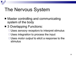 The Nervous System Master controlling and communicating system of the body 3 Overlapping Functions: Uses  sensory receptors  to interpret stimulus Uses  integration  to process the input Uses  motor output  to elicit a response to the stimulus 