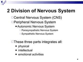2 Division of Nervous System Central Nervous System (CNS) Peripheral Nervous System Autonomic Nervous System Parasympathetic Nervous System Sympathetic Nervous System These three parts integrates all: physical intellectual  emotional activities 
