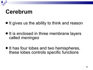 Cerebrum It gives us the ability to think and reason It is enclosed in three membrane layers called  meninges It has four lobes and two hemispheres, these lobes controls specific functions 