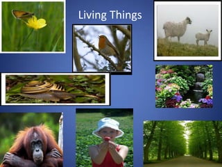 Living Things
 