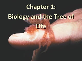 Chapter 1:
Biology and the Tree of
          Life
 