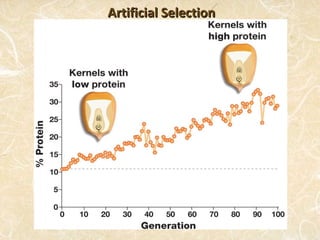 Artificial Selection
 