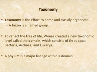 Taxonomy

• Taxonomy is the effort to name and classify organisms.
   – A taxon is a named group.

• To reflect the tree of life, Woese created a new taxonomic
  level called the domain, which consists of three taxa:
  Bacteria, Archaea, and Eukarya.

• A phylum is a major lineage within a domain.
 