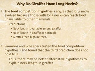 Why Do Giraffes Have Long Necks?
• The food competition hypothesis argues that long necks
  evolved because those with long necks can reach food
  unavailable to other mammals.
   – Predictions:
      • Neck length is variable among giraffes.
      • Neck length in giraffes is heritable.
      • Giraffes feed high in trees.

• Simmons and Scheepers tested the food competition
  hypothesis and found that the third prediction does not
  hold true.
   – Thus, there may be better alternative hypotheses to
     explain neck length in giraffes.
 