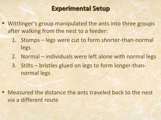 Experimental Setup

• Wittlinger’s group manipulated the ants into three groups
  after walking from the nest to a feeder:
    1. Stumps – legs were cut to form shorter-than-normal
        legs
    2. Normal – individuals were left alone with normal legs
    3. Stilts – bristles glued on legs to form longer-than-
        normal legs


• Measured the distance the ants traveled back to the nest
  via a different route
 