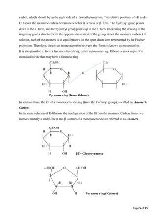 Page 5 of 13
carbon, which should be on the right side of a Haworth projection. The relative positions of –H and –
OH about the anomeric carbon determine whether it is the αor βform. The hydroxyl group points
down in the αform, and the hydroxyl group points up in the βform. (Reversing the drawing of the
rings may give a structure with the opposite orientation of the groups about the anomeric carbon.) In
solution, each of the anomers is in equilibrium with the open chain form represented by the Fischer
projection. Therefore, there is an interconversion between the forms is known as mutarotation.
It is also possible to form a five-membered ring, called a furanose ring. Ribose is an example of a
monosaccharide that may form a furanose ring.
6CH2OH CH2
H 5 O O
H H O
4 1
OH 3 2 OH
H OH
Pyranose ring (from Aldoses)
In solution form, the C1 of a monosaccharide ring (from the Carbonyl group), is called the Anomeric
Carbon.
In the same solution of D-Glucose the configuration of the OH on the anomeric Carbon forms two
isomers, namely α and β.The α and β isomers of a monosaccharide are referred to as Anomers.
CH2OH
H O
H OH
OH H
H OH β-D- Glucopyranose
6HOCH2 O 1CH2OH
5
2
H OH OH
4 3
OH H Furanose ring (Ketoses)
 
