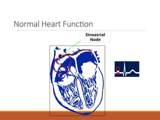 Chapter. 1- Cardiac Pace Maker.pptx..... | PPTX