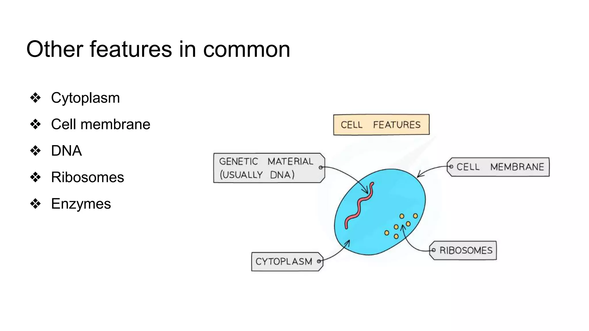 classification grade 9 chapter 3