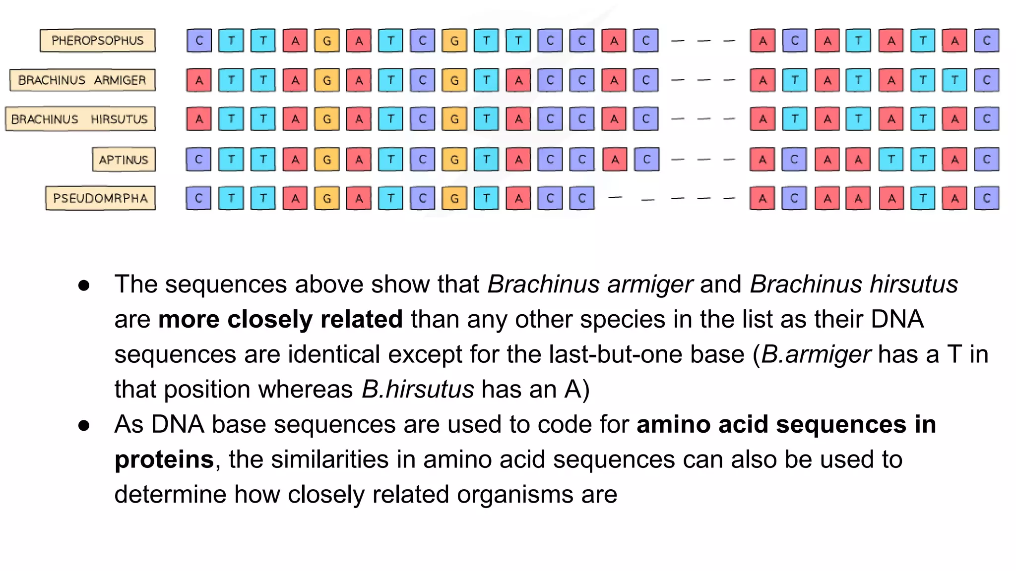 classification grade 9 chapter 3