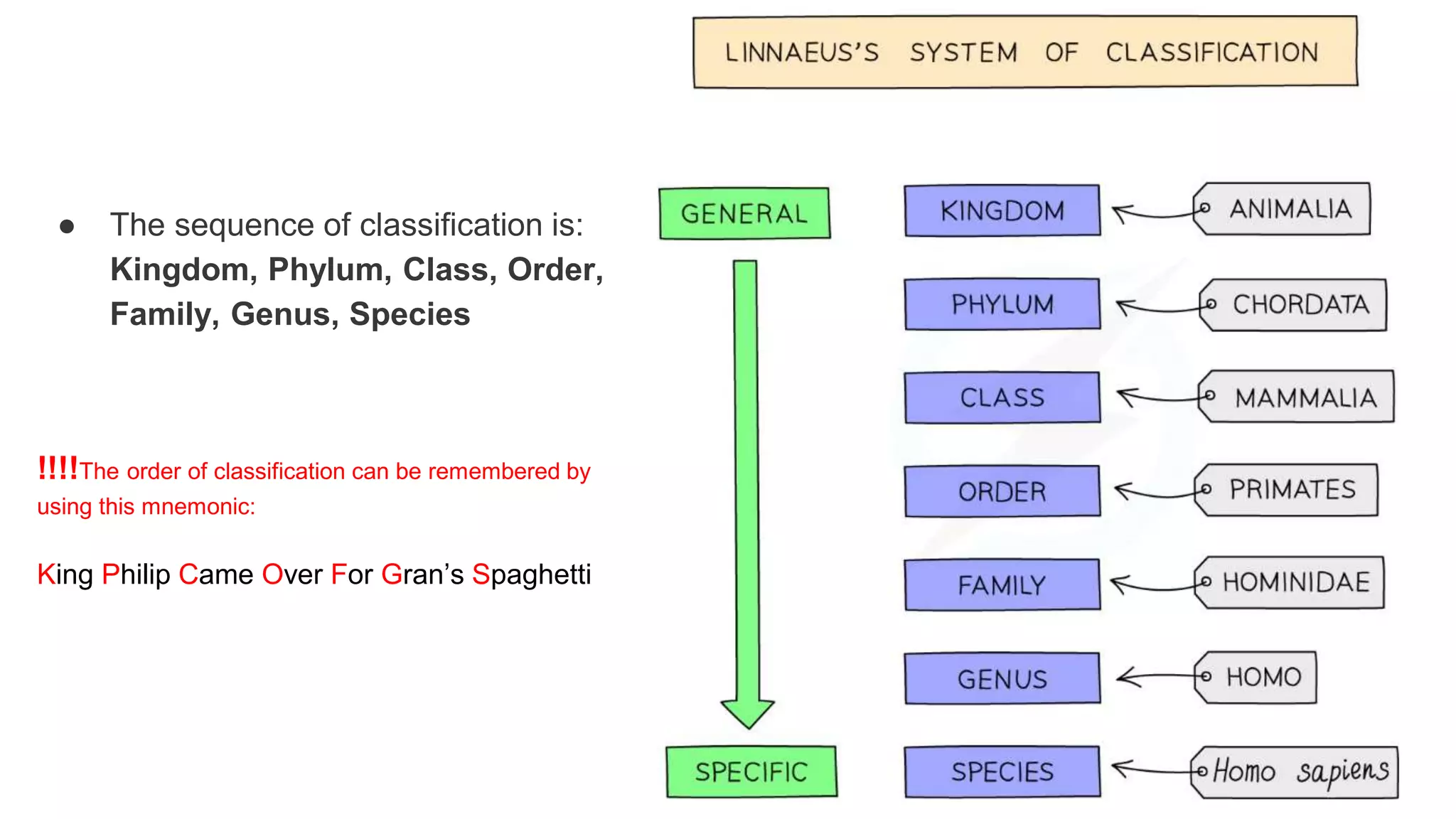 classification grade 9 chapter 3