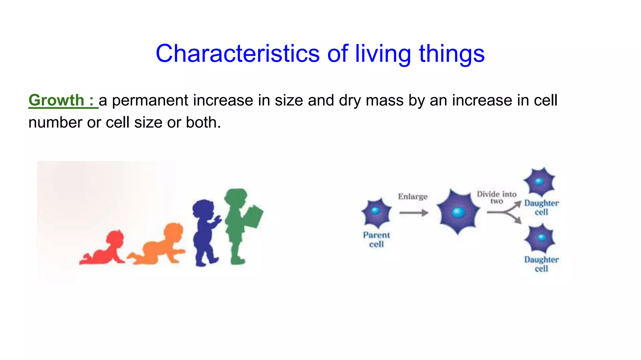 classification grade 9 chapter 3
