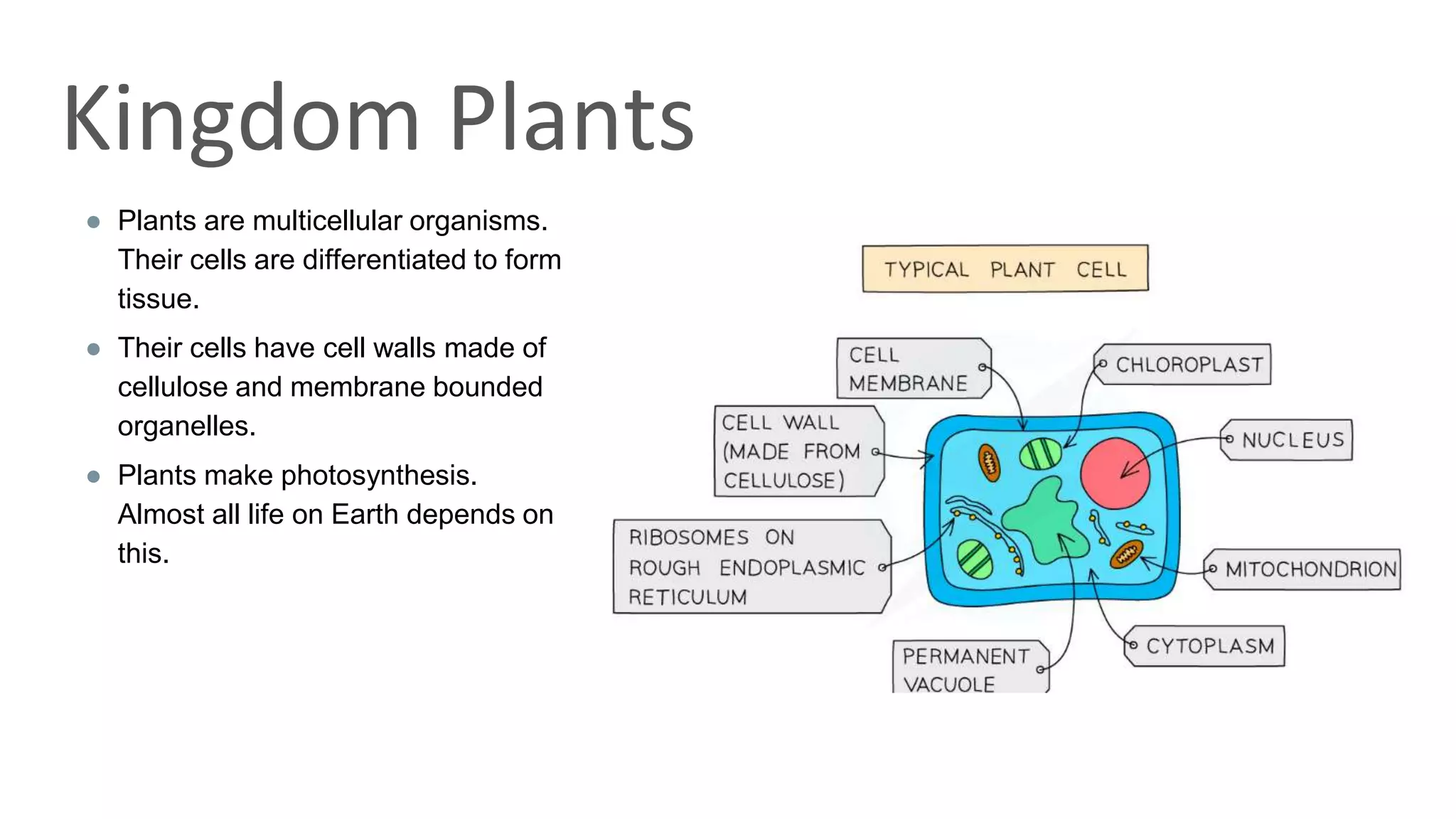 classification grade 9 chapter 3
