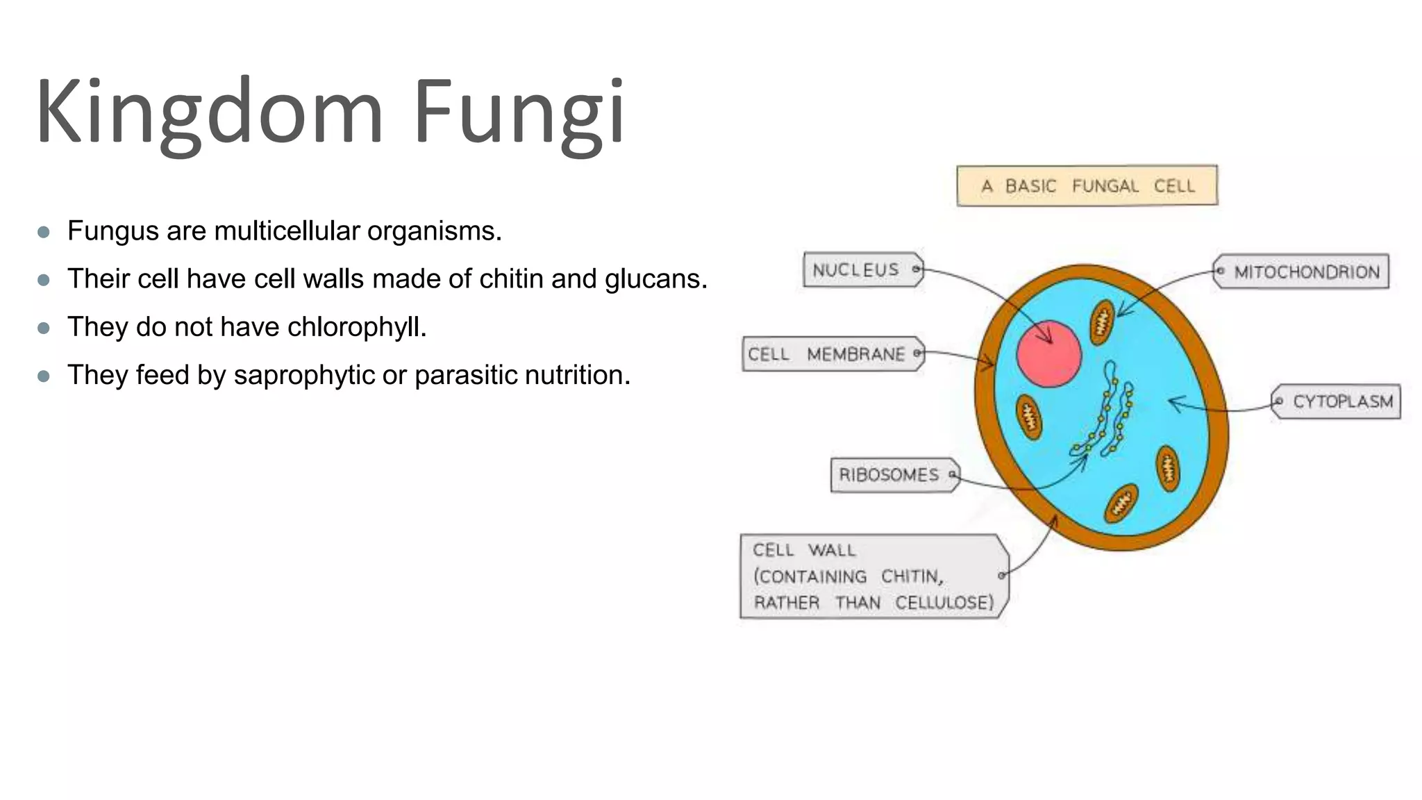 classification grade 9 chapter 3