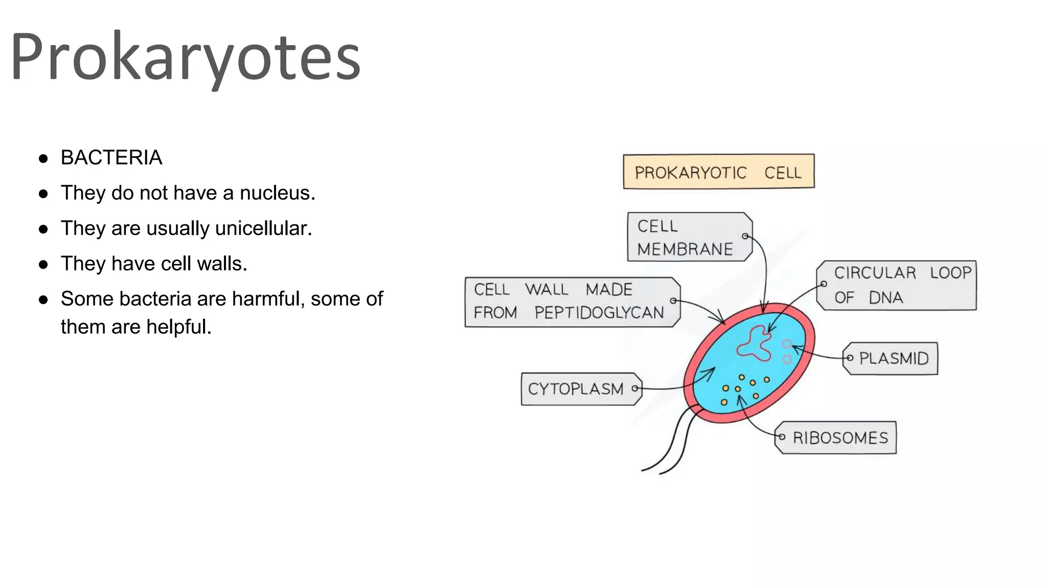 classification grade 9 chapter 3