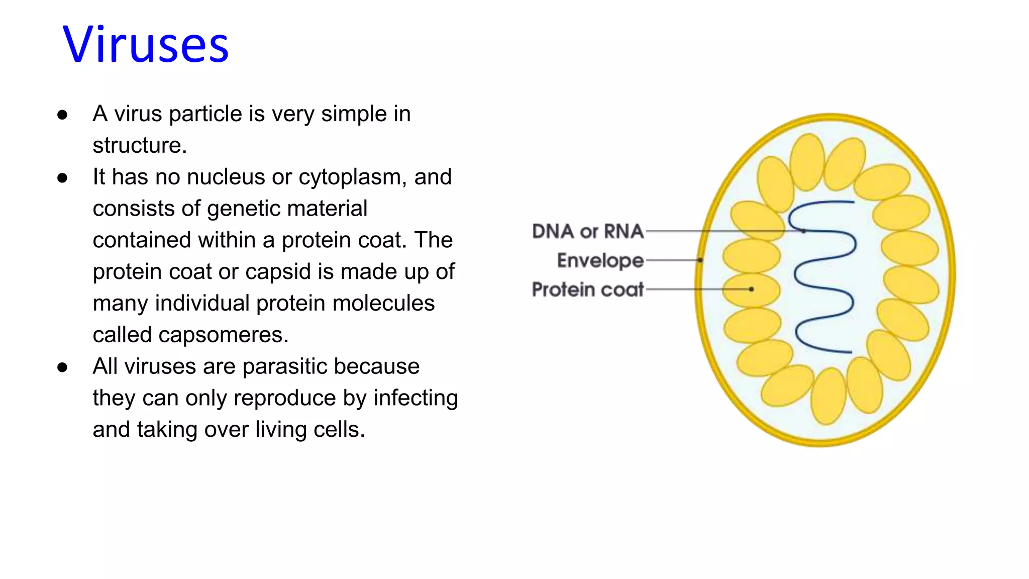 classification grade 9 chapter 3