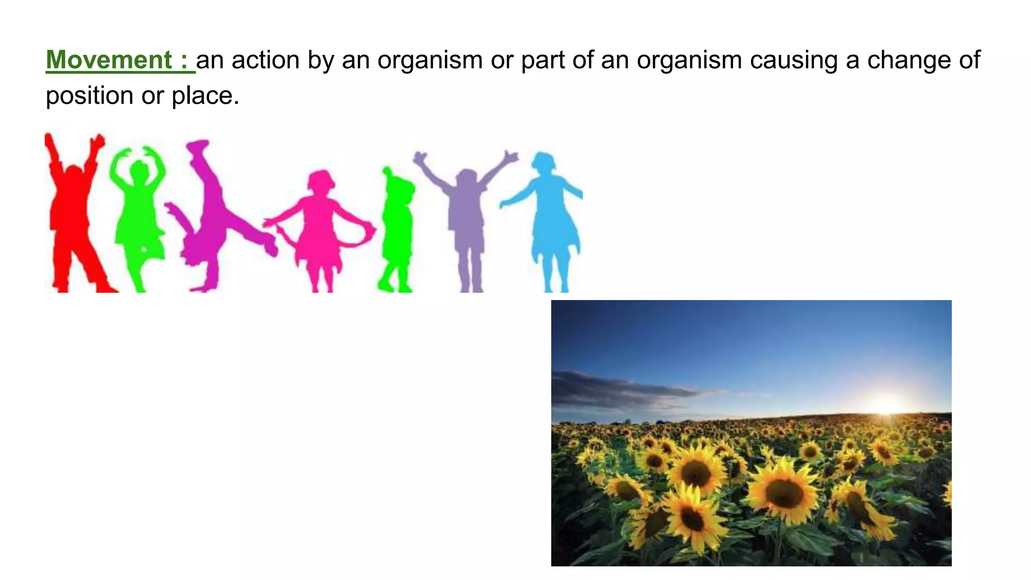 classification grade 9 chapter 3