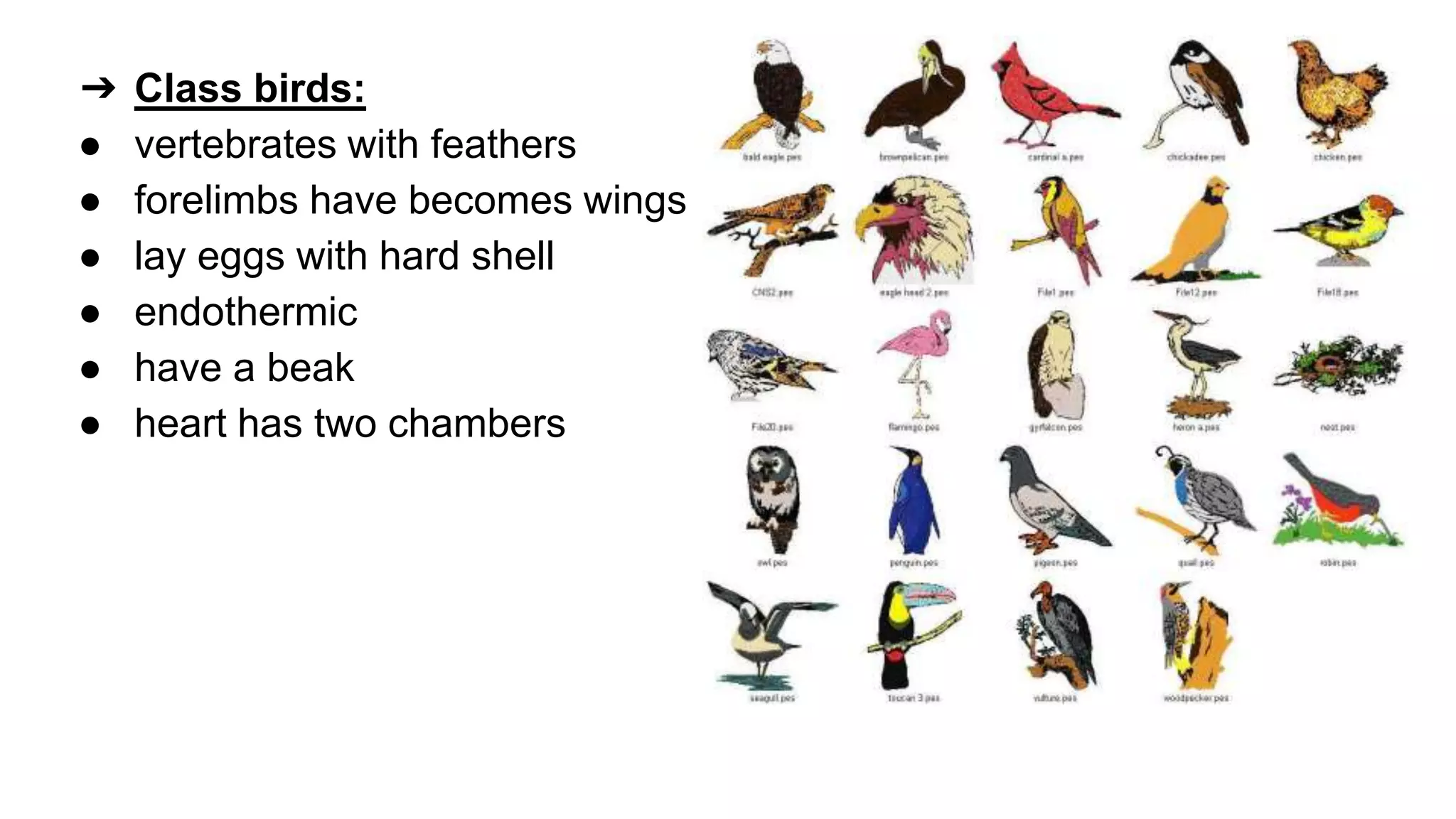 classification grade 9 chapter 3
