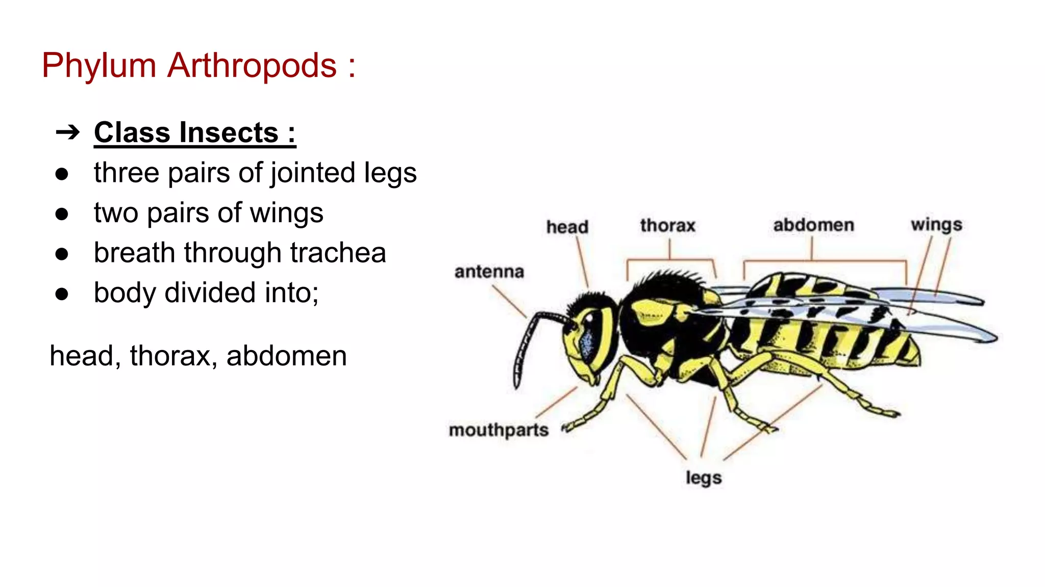 classification grade 9 chapter 3